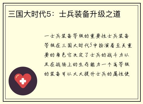三国大时代5：士兵装备升级之道